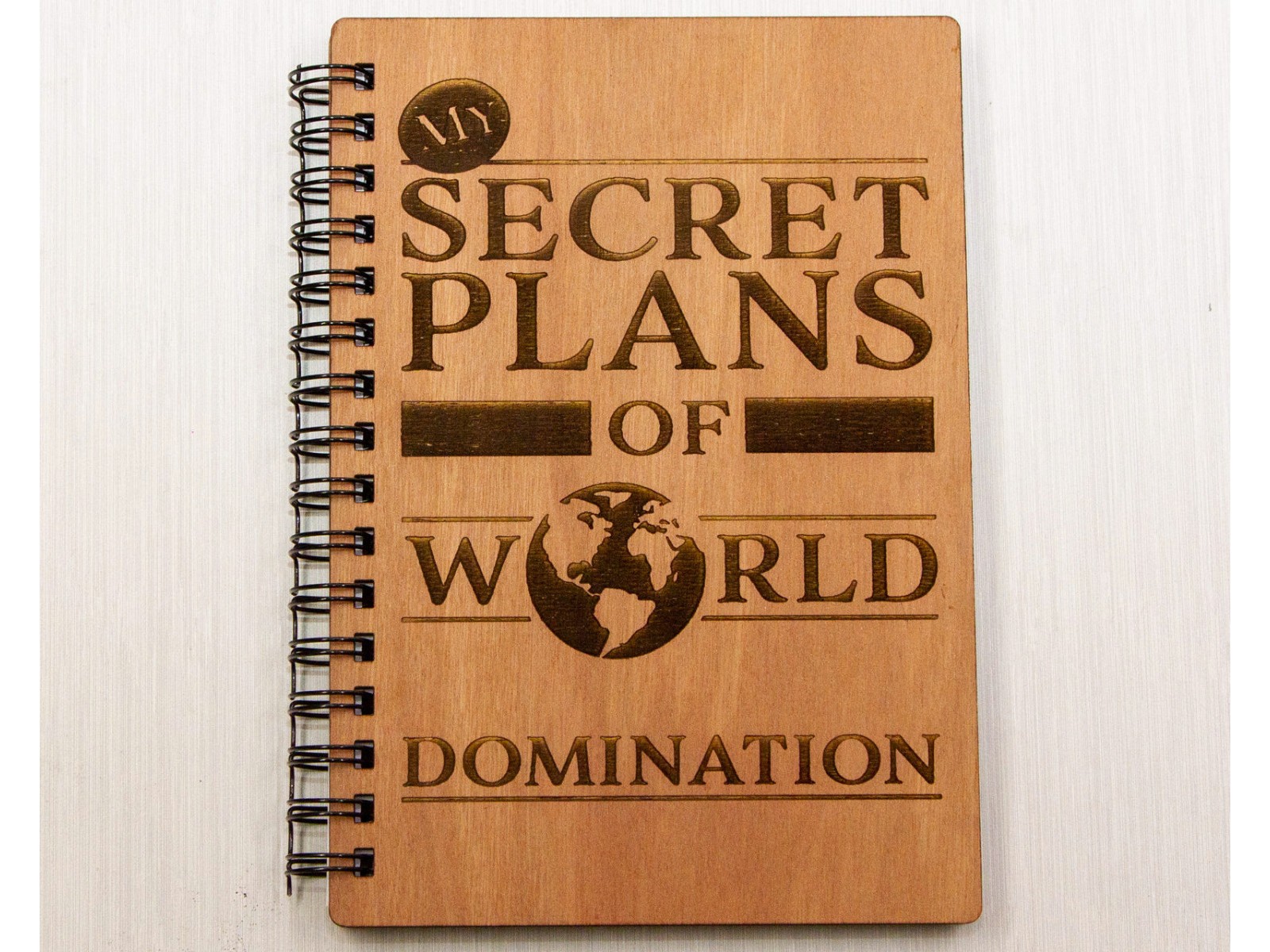 World Ruled Notebook Notebook - My Secret Plans of World Domination